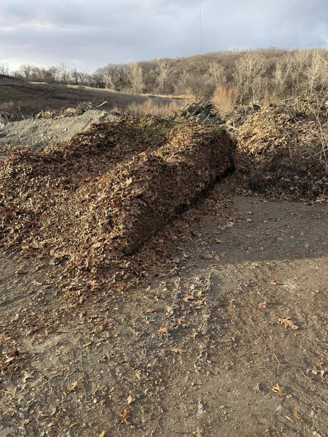 Large piles of collected leaves tipped at a dump site